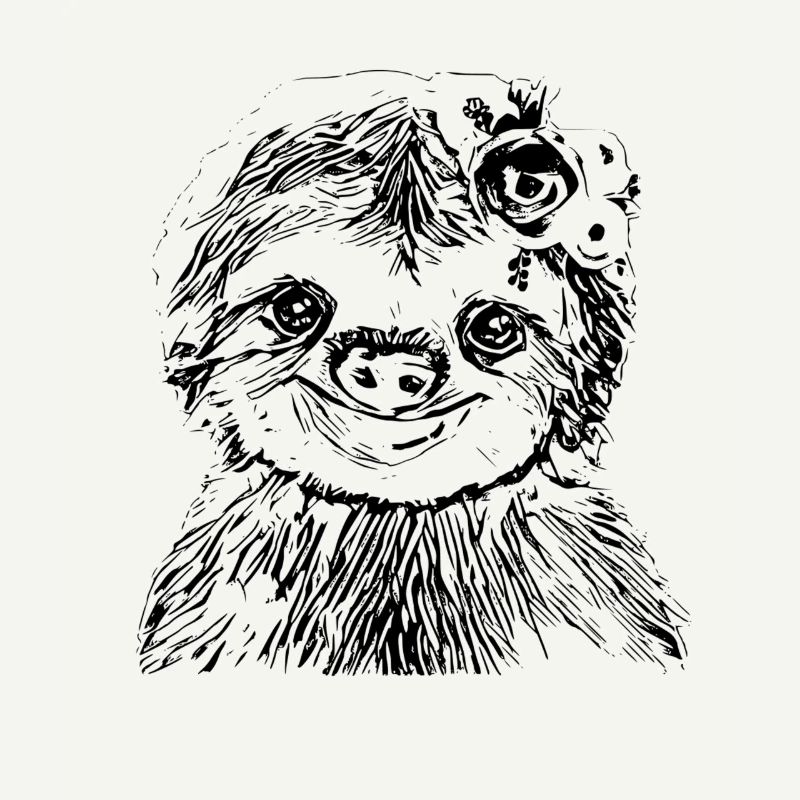 sloth