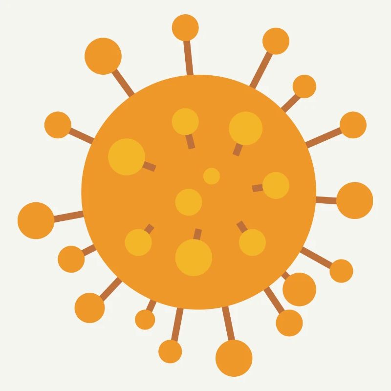 Corona Virus