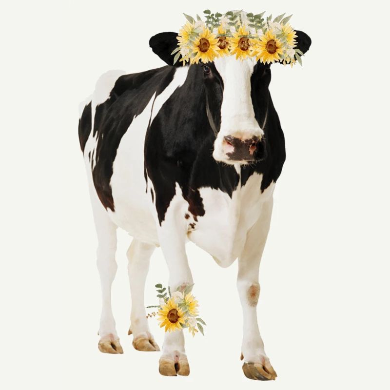 Vache Holstein avec des fleurs