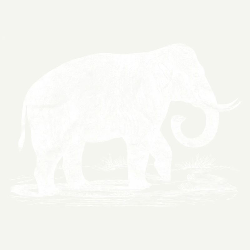 Éléphant