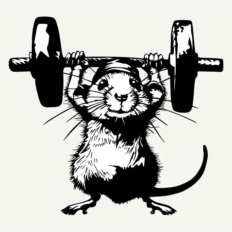 Rat de fer : la force et le style