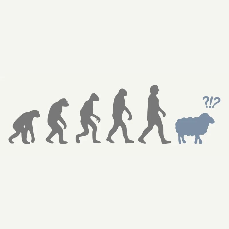 evolution mouton