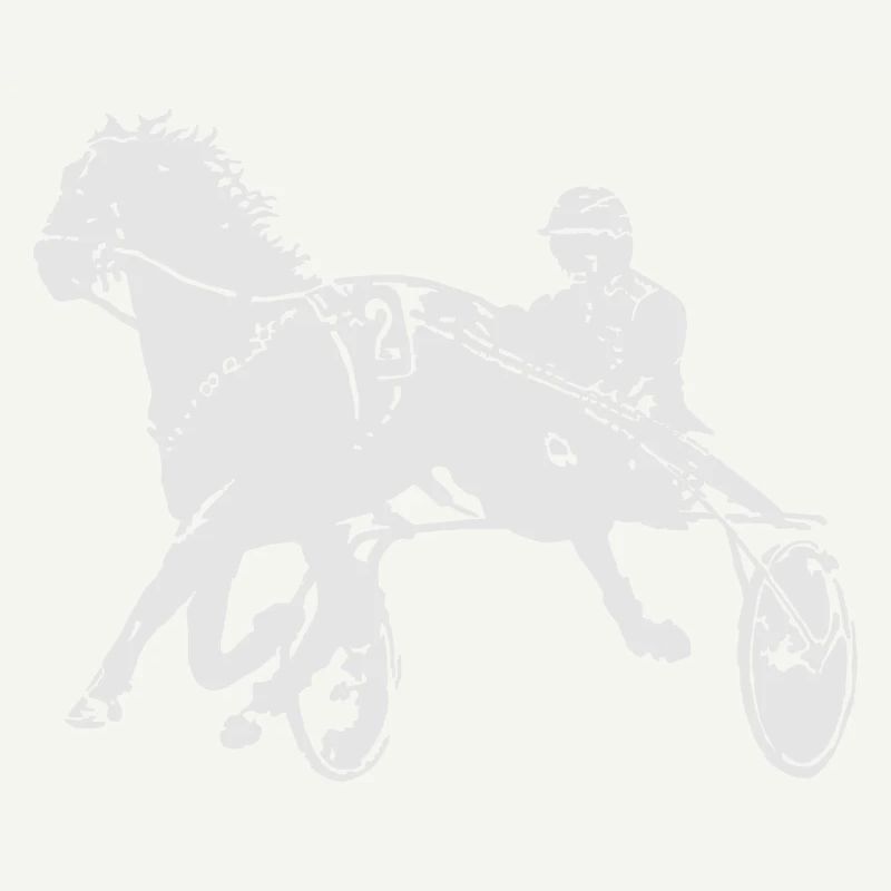 Courses de chevaux de trot