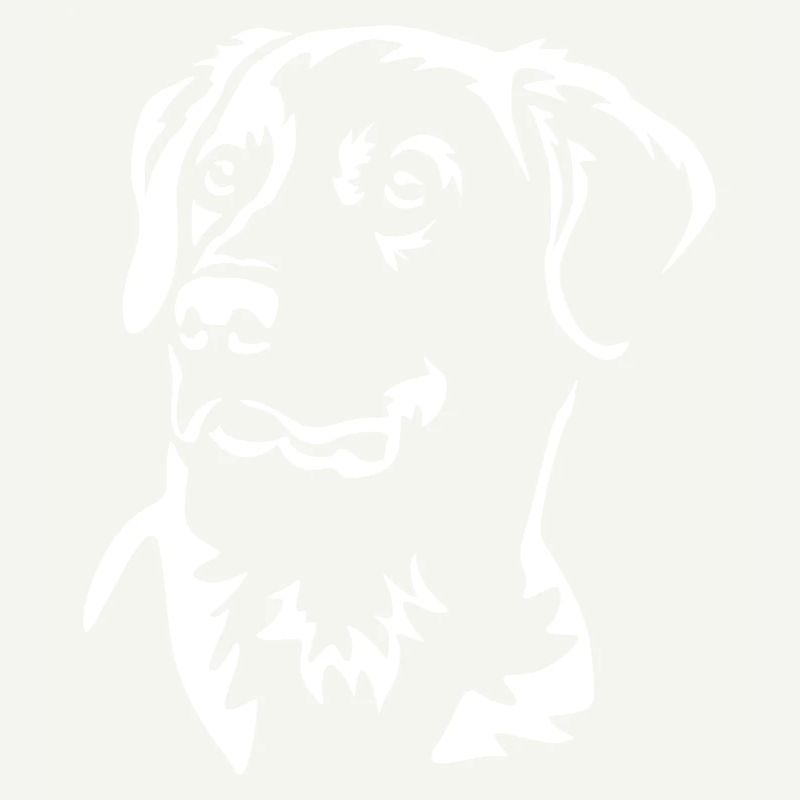 Labrador Head "Black Edition"