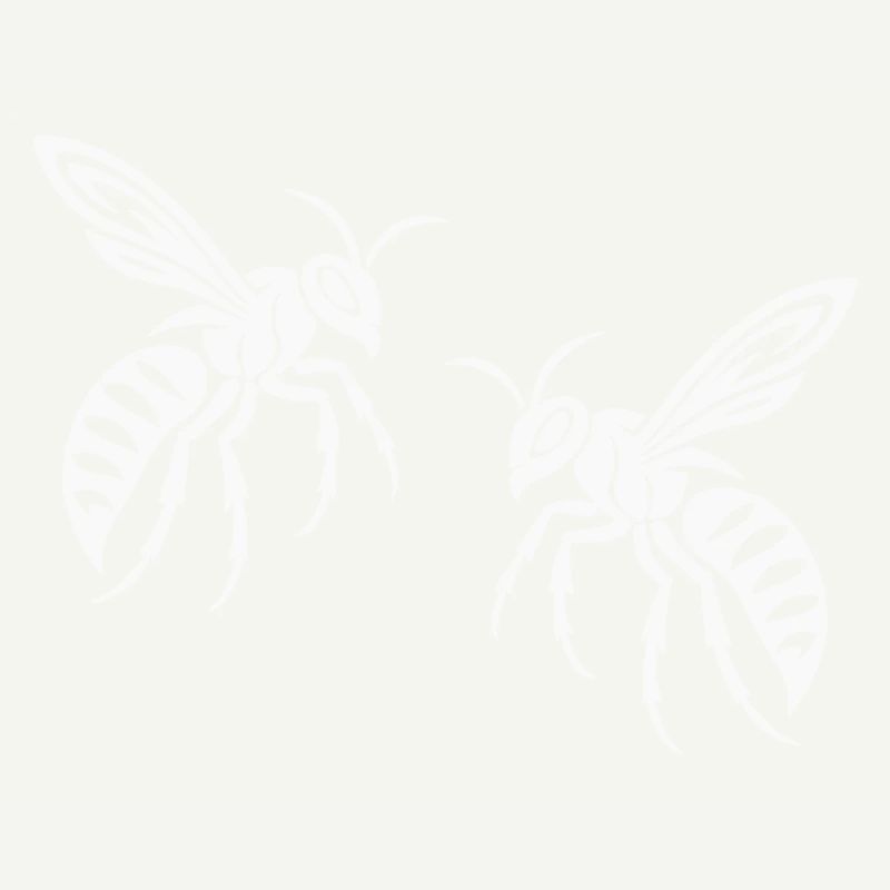Guêpe abeille