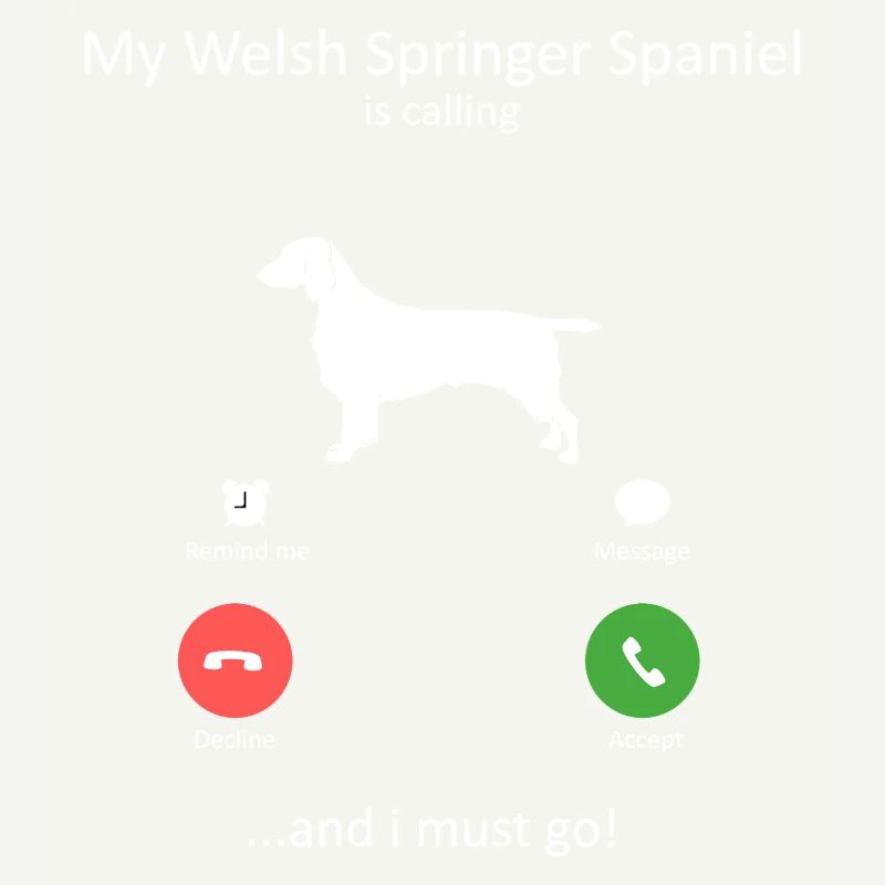 Welsh Springer Spaniel Is Calling Funny Dog