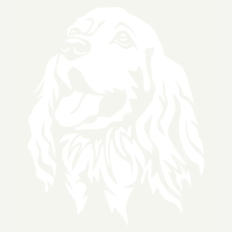 Cocker Spaniel "Black Edition"