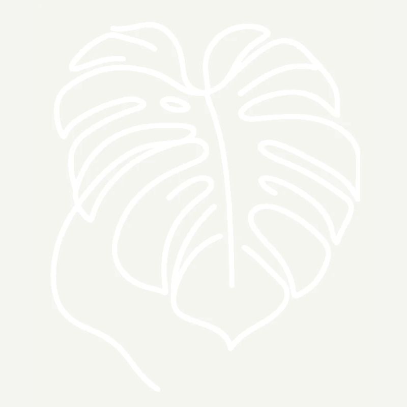 Monstera