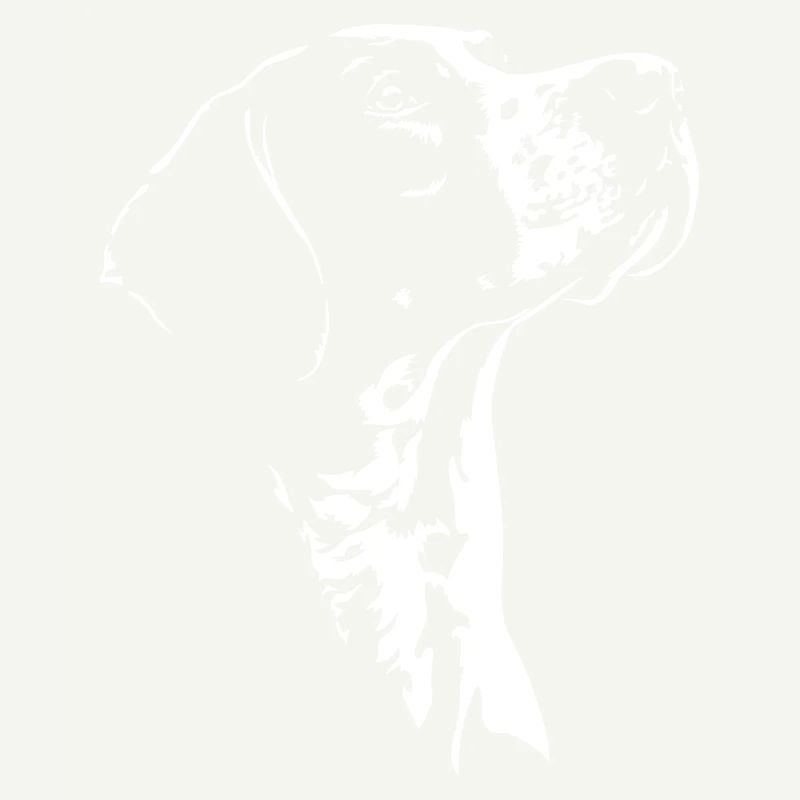 Chiens de chasse à silhouette pointer anglais Wilsigns