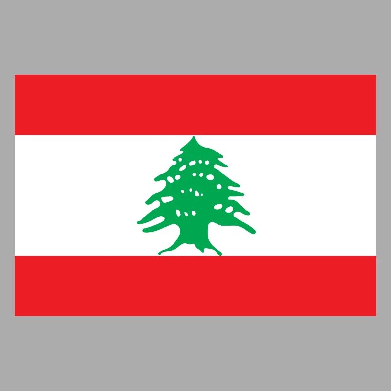 Liban drapeau libanais drapeau
