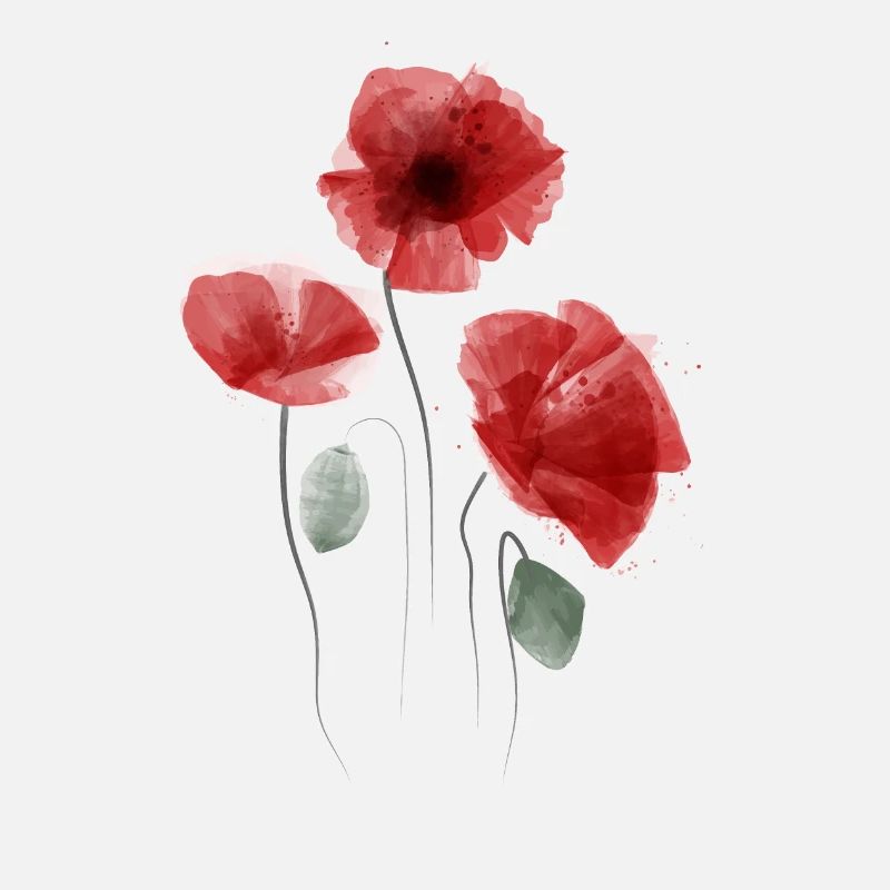 Coquelicot