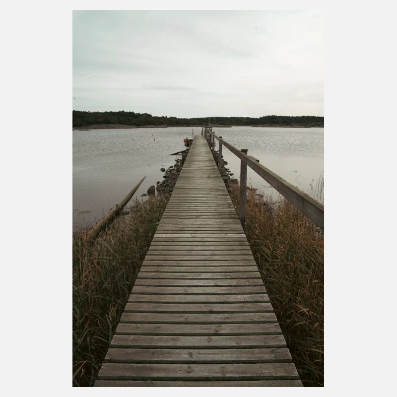 bridge