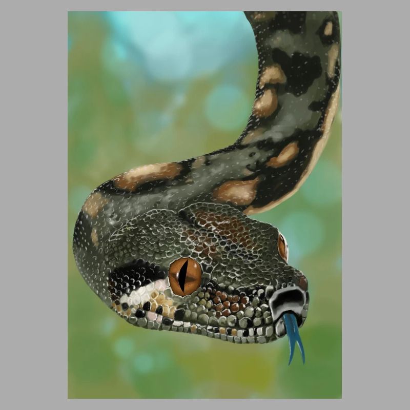 realistic boa constrictor