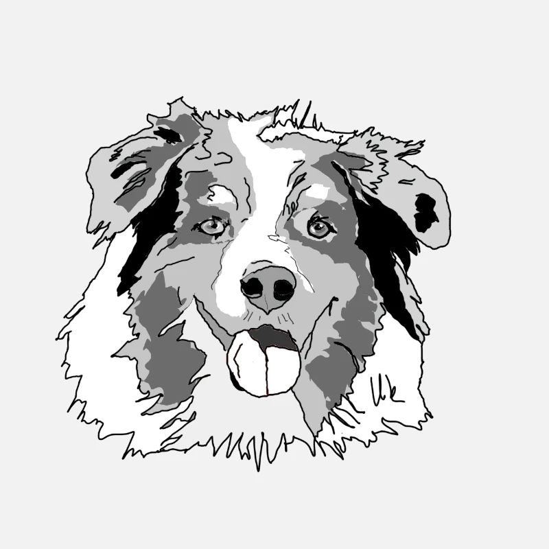 Australian Shepherd
