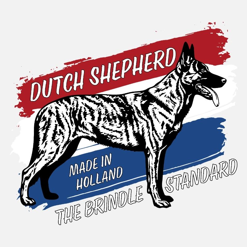Berger hollandais - Dutchie