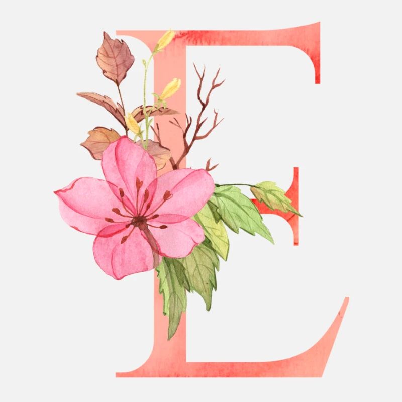 Lettre e