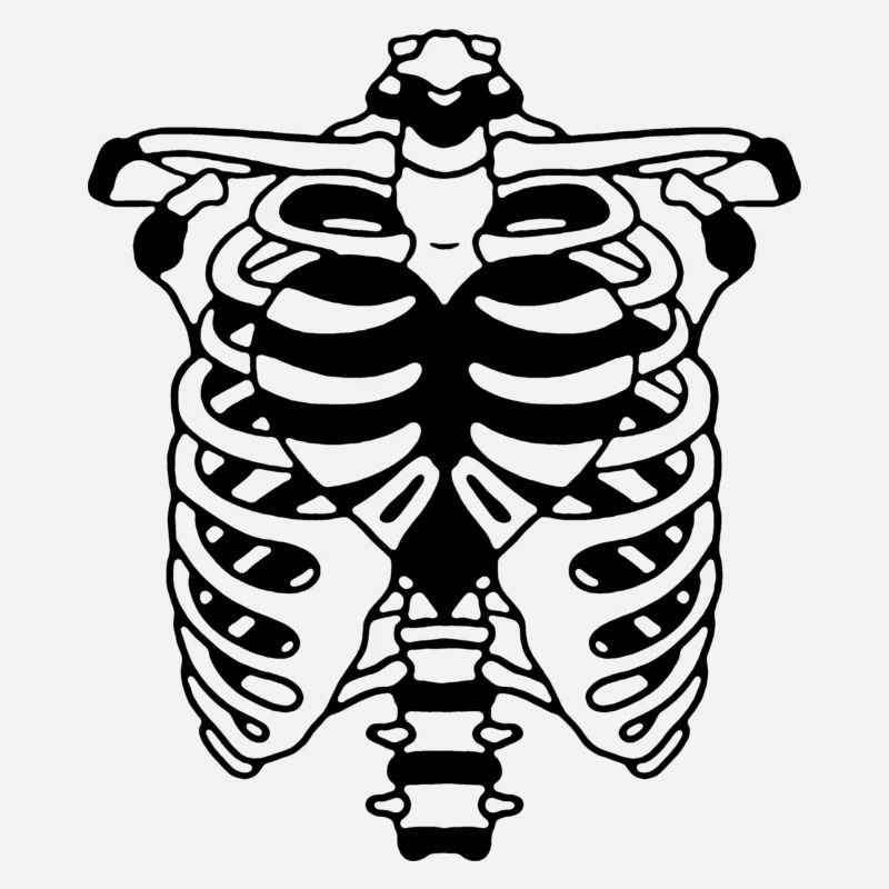 DIE KNOCHEN