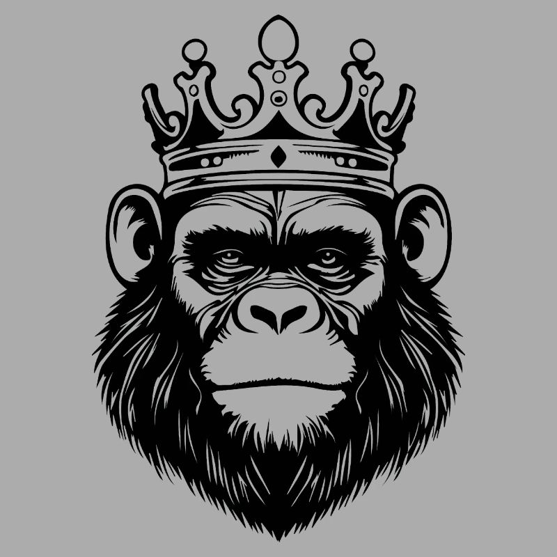 Monkey Monkey Monkey Face Jungle