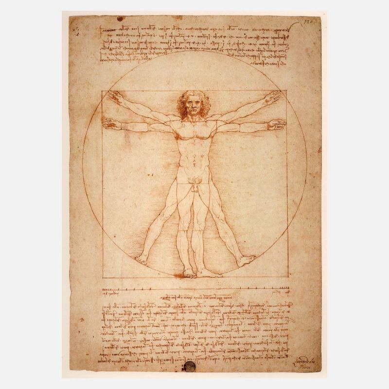 Leonardo da Vinci humain