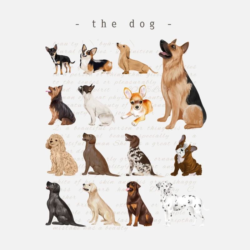 le chien