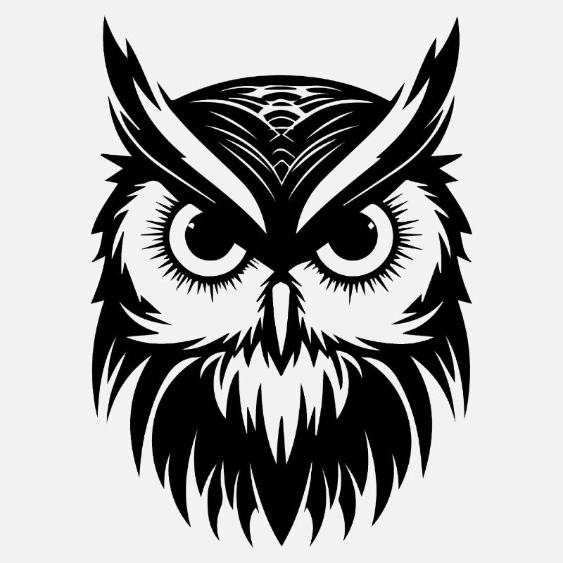 Eule Eulen Vogel Vögel