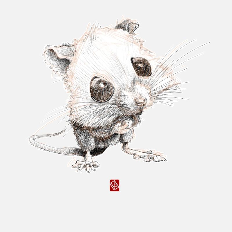 Sketchy Mouse