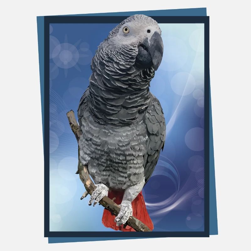 Le perroquet gris