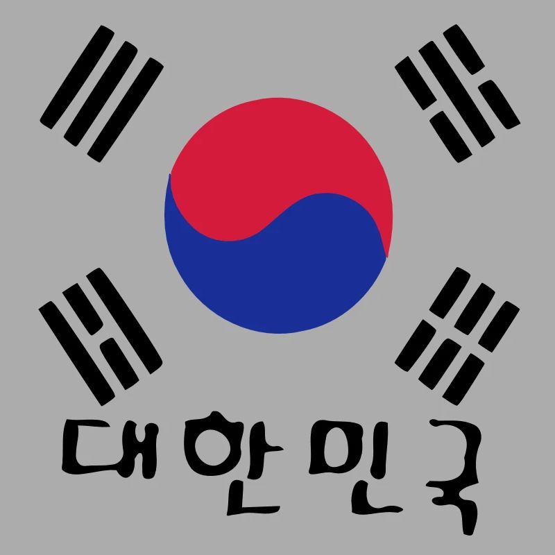 Corée du Sud drapeau et txt coréen