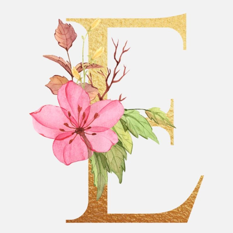 Lettre e