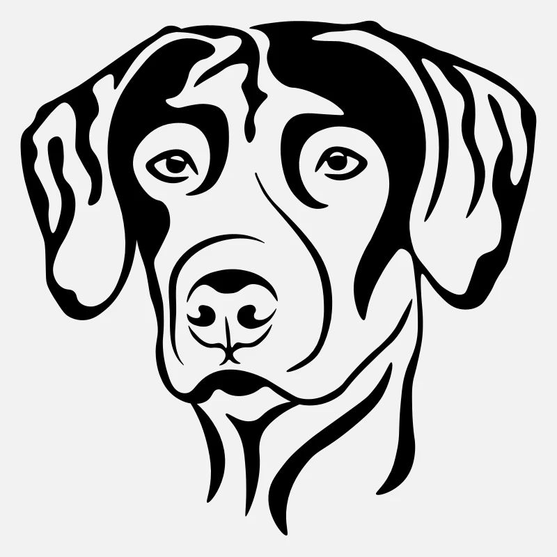 RhodesianRidgeback