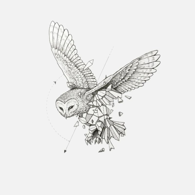 hibou