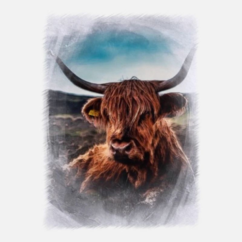 beef
