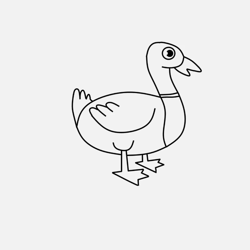 canard