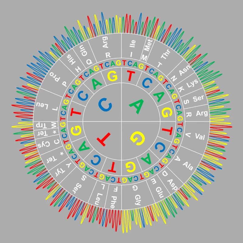 Sanger Codon Circle (dunkler Hintergrund)