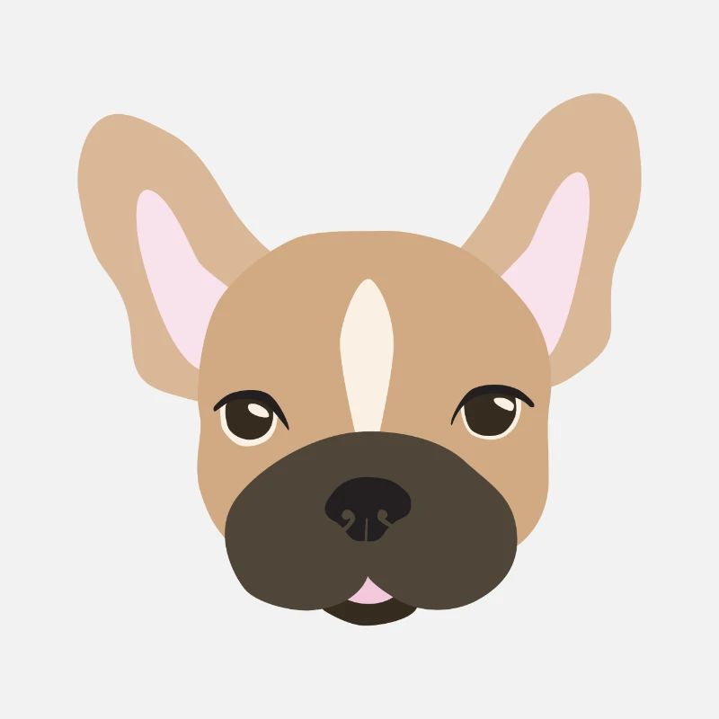 Bouledogue français, marron