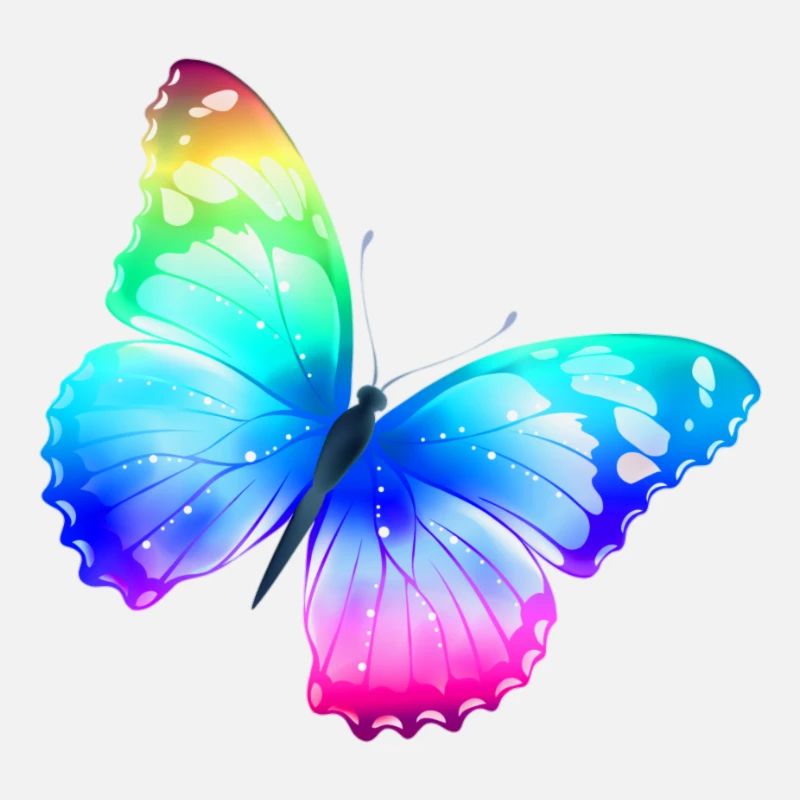 beau papillon