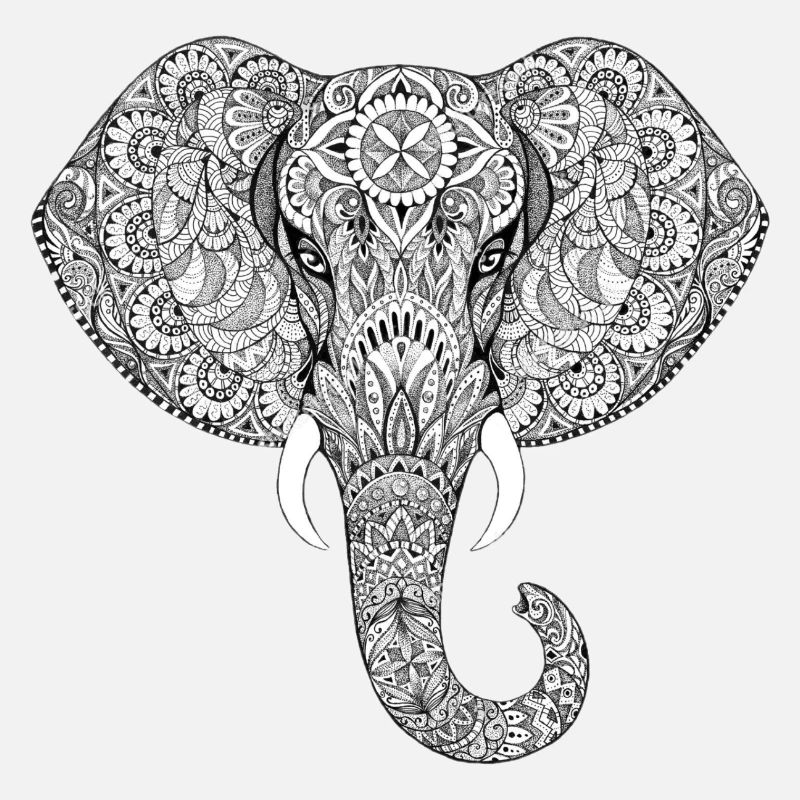 Elefant