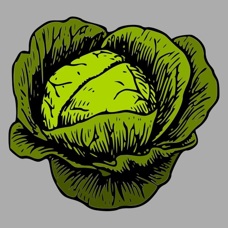 cabbage