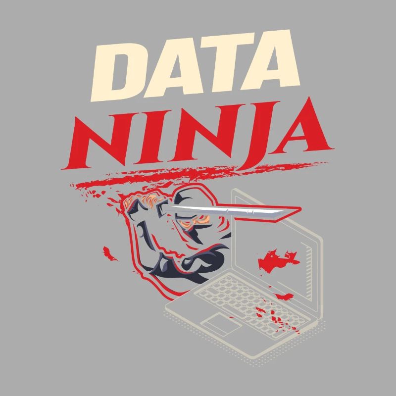 Data Ninja computer programming coder