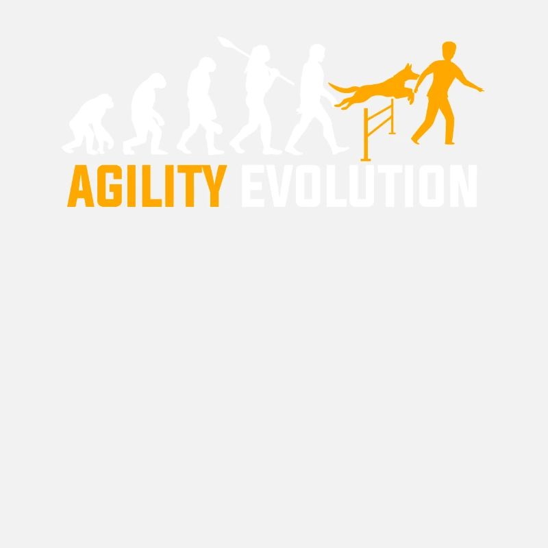 Evolution de l'agilité