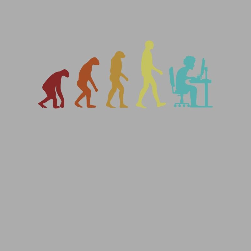 Programmeur Evolution Ingénieur logiciel Codeur