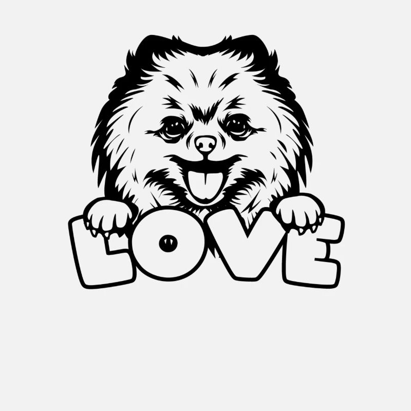 Spitz Pomeranian Zwergspitz Chien