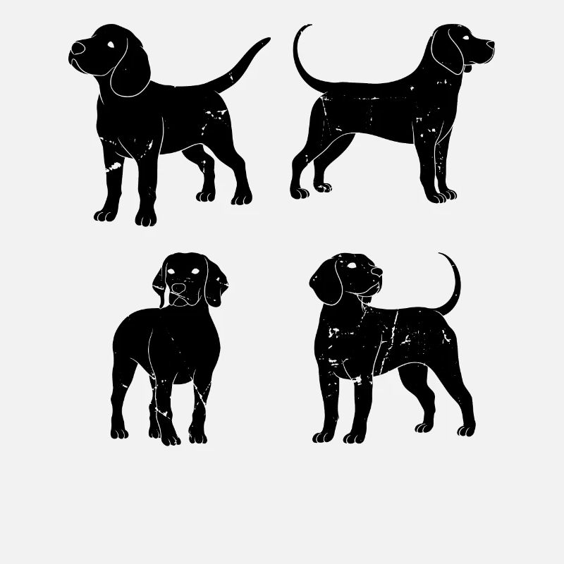 Teckel Chiots Propriétaire de Chien Teckel Chien Teckel Teckel