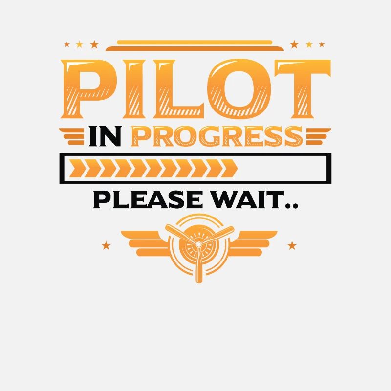 Pilot in progress, please wait, aircraft training