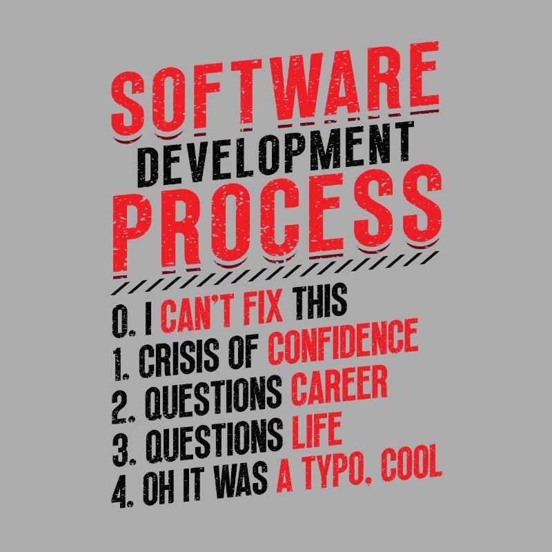 Software development process, programming