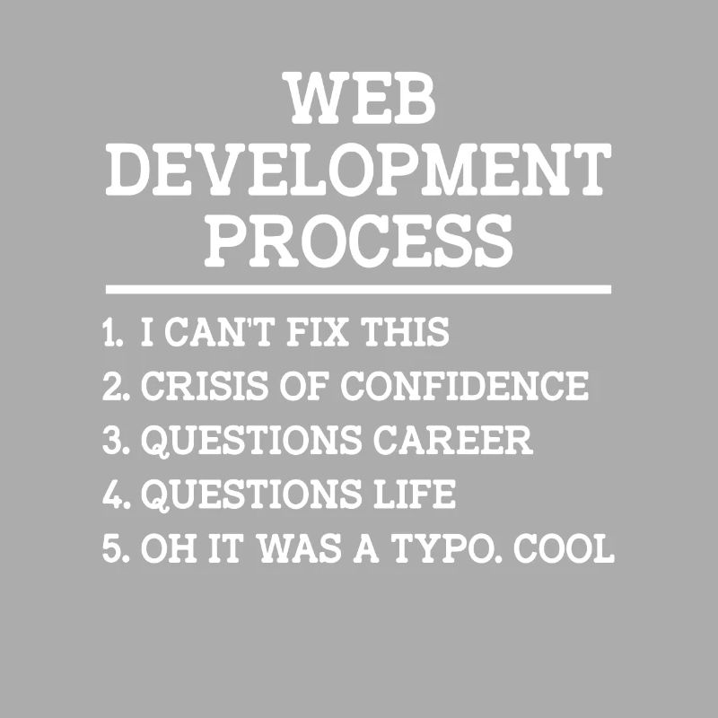 Développeur Web Développement de sites Web Programmeur informatique