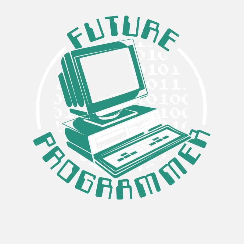 Futur programmeur Ingénieur logiciel Développeur