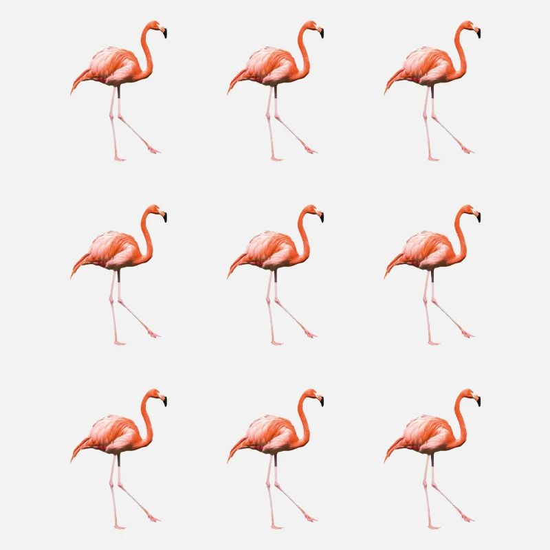 Flamingo parade