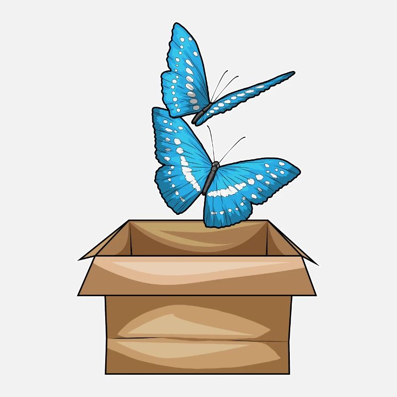 Boîte à papillons