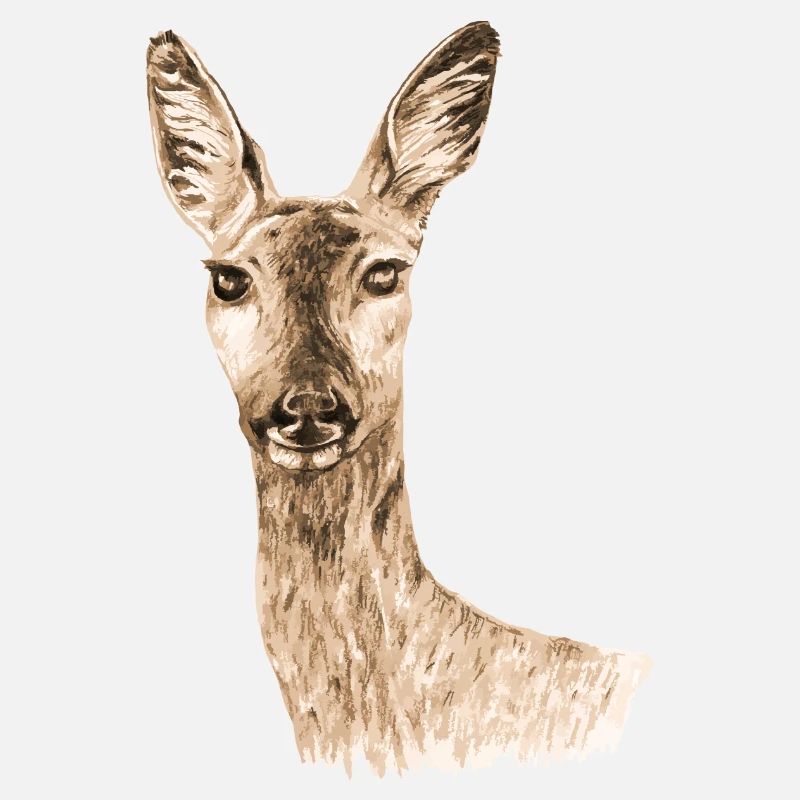 Roe deer
